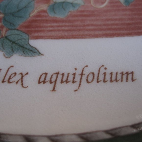 Wedgwood Sarahs Garden Holly & Ivy Ilex Aquiflorium Queens Ware 2 Salad Plates - Picture 4 of 8